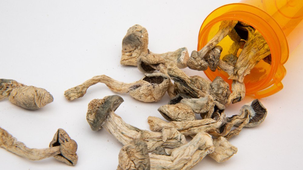 Halluzinogene Pilze Wie Einnehmen
